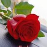 أم احمد profil fotoğrafı