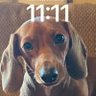 Profilbild von Samantha Smith