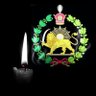 Milad Chakavak's profile picture