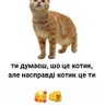 Мемтрейдер 的头像