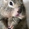 Profilbild von Nader A
