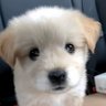 Profilbild von dorothylovesyou