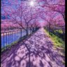 Фото профиля debs1218