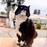 M.K profil fotoğrafı