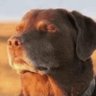 Athy profil fotoğrafı