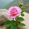 Фото профиля Maria Alhariri