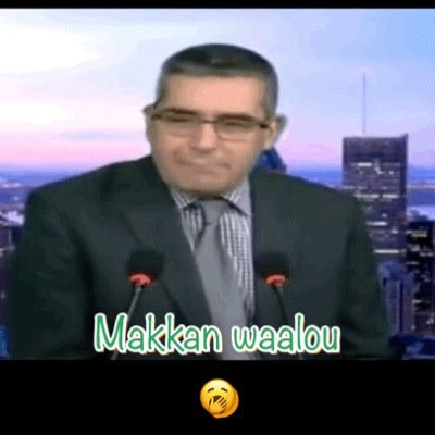 kadi's profile picture