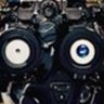 Not a Bot's profile picture