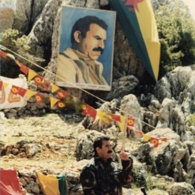 Şoreşger's profile picture