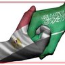 Tarek Al-Geddawy profil fotoğrafı