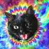 TheCurlyCobra's profile picture
