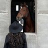 رزيــقه السعدي 🌱🐎.'s profile picture