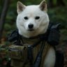 柴 豆ごろう「ガンランスを担いだ犬」 的头像