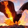 Profilbild von Jennifer Peitz We the People MAKING America Great