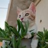 Фото профиля ابو علي