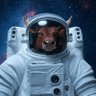 Profilbild von AstroBull