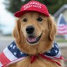 Фото профиля Deplorable MAGA Mutt