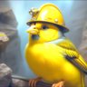 Canary in a Coin Mine's profile picture