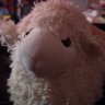 Profilbild von Sheep