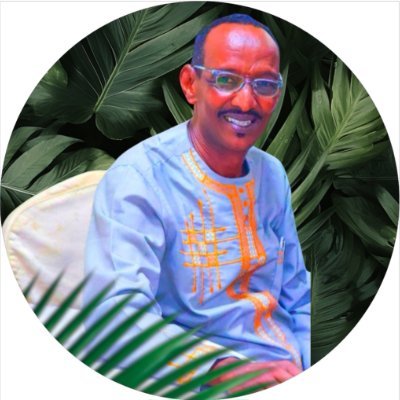 ole_abdinoor's profile picture