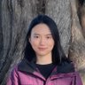 Profilbild von Mengdi Xu