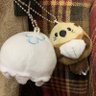 Фото профиля どんりー(=•ェ•=)💛