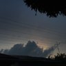 grey's profile picture