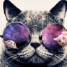 @333Gideon1's profile picture