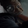North_Aotearoa_Cat 的头像