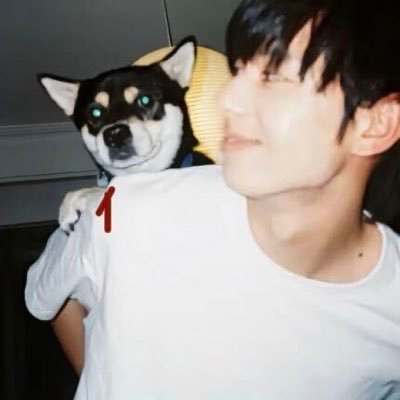 真没喝's profile picture