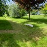 🇮🇪🐶🏉 profil fotoğrafı