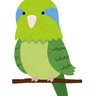 マメルリハインコ profil fotoğrafı