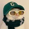my mother,s son๐ฆ๐ง๐ฝโโ๏ธ's profile picture