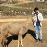 Bharat profil fotoğrafı