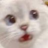 olbod1400's profile picture