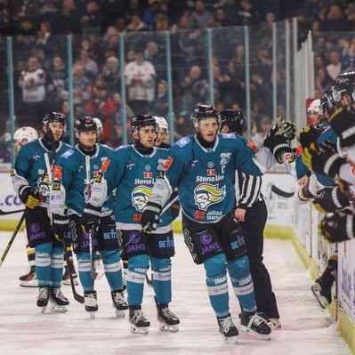 Belfast Teal & White's profile picture
