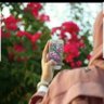 رقة أنثئ.✨🦋's profile picture