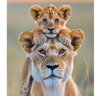 mumi profil fotoğrafı