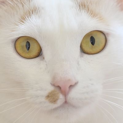 marbochin's profile picture