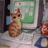  скріпка's profile picture