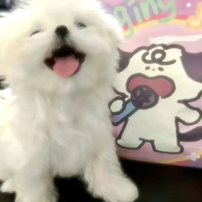 QingCi_Ci's profile picture
