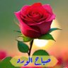 Фото профиля AliALMHGR