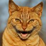 Taka's profile picture