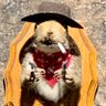 Profilbild von Iddy FAFO