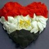 🇪🇬مصرية 🇪🇬's profile picture