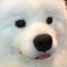 ʚ(。˃ ᵕ ˂ )ɞ profil fotoğrafı