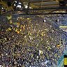 Фото профиля BVB