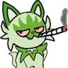 kitty puffs's profile picture