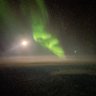 Maple Emigrant's profile picture