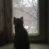 Gh's profile picture